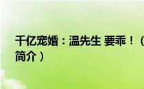 千亿宠婚：温先生 要乖！（关于千亿宠婚：温先生 要乖！简介）