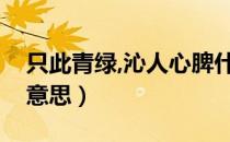 只此青绿,沁人心脾什么意思（沁人心脾什么意思）