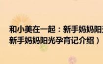 和小美在一起：新手妈妈阳光孕育记（关于和小美在一起：新手妈妈阳光孕育记介绍）