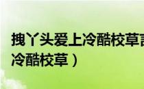 拽丫头爱上冷酷校草言情小说吧（拽丫头爱上冷酷校草）