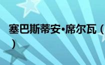 塞巴斯蒂安·席尔瓦（关于塞巴斯蒂安·席尔瓦）