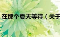 在那个夏天等待（关于在那个夏天等待简介）