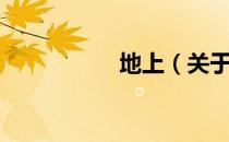 地上（关于地上简介）