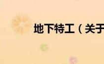 地下特工（关于地下特工简介）