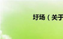 圩场（关于圩场简介）