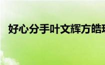 好心分手叶文辉方皓玟（好心分手叶文辉）