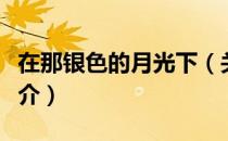 在那银色的月光下（关于在那银色的月光下简介）