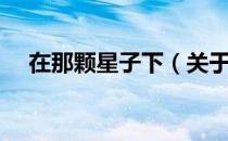 在那颗星子下（关于在那颗星子下简介）