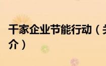 千家企业节能行动（关于千家企业节能行动简介）