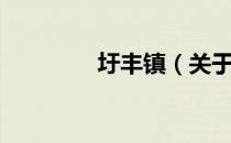 圩丰镇（关于圩丰镇简介）