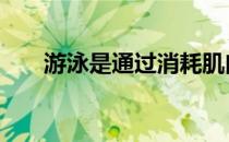 游泳是通过消耗肌肉还是脂肪来减肥 