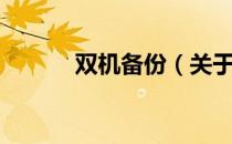 双机备份（关于双机备份介绍）