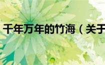 千年万年的竹海（关于千年万年的竹海简介）