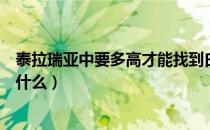 泰拉瑞亚中要多高才能找到白龙（泰拉瑞亚白龙出现条件是什么）