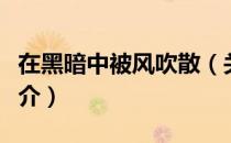 在黑暗中被风吹散（关于在黑暗中被风吹散简介）
