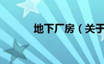 地下厂房（关于地下厂房简介）