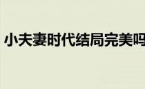 小夫妻时代结局完美吗（小夫妻时代大结局）