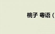桃子 粤语（桃姐 粤语）