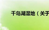 千岛湖湿地（关于千岛湖湿地简介）