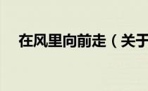 在风里向前走（关于在风里向前走简介）