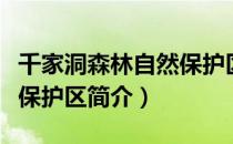 千家洞森林自然保护区（关于千家洞森林自然保护区简介）