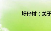 圩仔村（关于圩仔村简介）