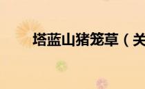 塔蓝山猪笼草（关于塔蓝山猪笼草）