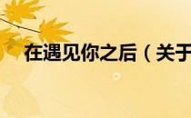 在遇见你之后（关于在遇见你之后简介）