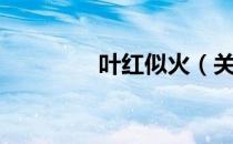 叶红似火（关于叶红似火）