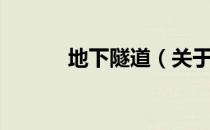 地下隧道（关于地下隧道简介）
