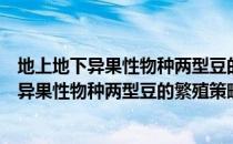 地上地下异果性物种两型豆的繁殖策略研究（关于地上地下异果性物种两型豆的繁殖策略研究简介）