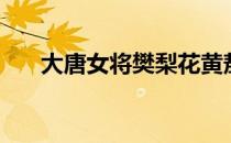 大唐女将樊梨花黄敖老祖（黄敖老祖）