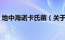 地中海诺卡氏菌（关于地中海诺卡氏菌简介）