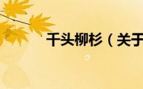 千头柳杉（关于千头柳杉简介）