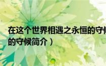 在这个世界相遇之永恒的守候（关于在这个世界相遇之永恒的守候简介）