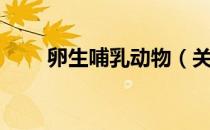 卵生哺乳动物（关于卵生哺乳动物）