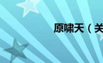 原啸天（关于原啸天）