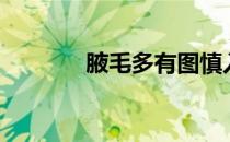 腋毛多有图慎入（腋毛论坛）