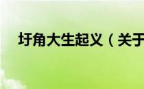 圩角大生起义（关于圩角大生起义简介）