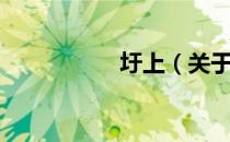 圩上（关于圩上简介）