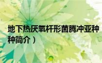 地下热厌氧杆形菌腾冲亚种（关于地下热厌氧杆形菌腾冲亚种简介）