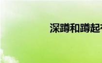 深蹲和蹲起有什么区别 