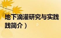 地下滴灌研究与实践（关于地下滴灌研究与实践简介）