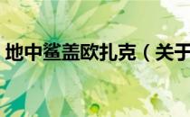 地中鲨盖欧扎克（关于地中鲨盖欧扎克简介）