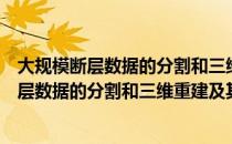 大规模断层数据的分割和三维重建及其应用（关于大规模断层数据的分割和三维重建及其应用简介）