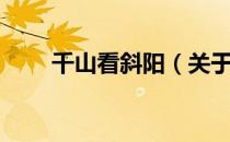 千山看斜阳（关于千山看斜阳简介）