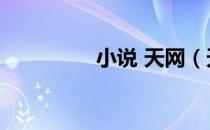 小说 天网（天空文学网）