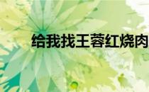 给我找王蓉红烧肉（红烧鸡翅 王蓉）