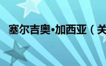 塞尔吉奥·加西亚（关于塞尔吉奥·加西亚）