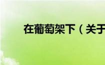 在葡萄架下（关于在葡萄架下简介）